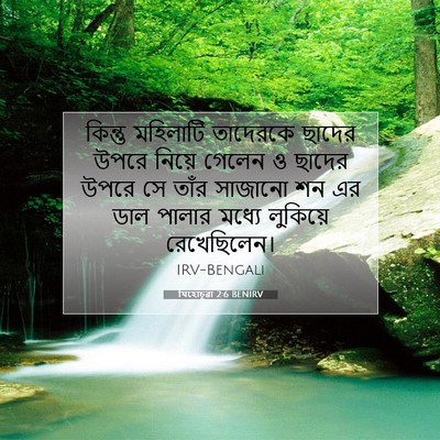 Picture 07 - যিহোচূৱা 2:6 BENIRV - কিন্তু মহিলাটি - Bible Verse Picture