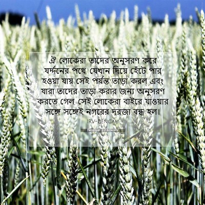 Picture 07 - যিহোচূৱা 2:7 BENIRV - ঐ লোকেরা তাদের - Bible Verse Picture