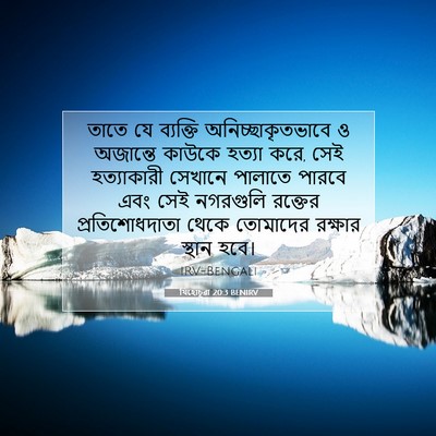 Picture 07 - যিহোচূৱা 20:3 BENIRV - তাতে যে ব্যক্তি - Bible Verse Picture