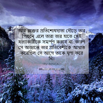 Picture 07 - যিহোচূৱা 20:5 BENIRV - আর রক্তের - Bible Verse Picture