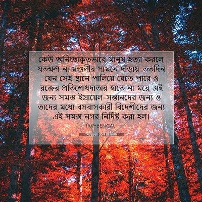 Picture 07 - যিহোচূৱা 20:9 BENIRV - কেউ - Bible Verse Picture
