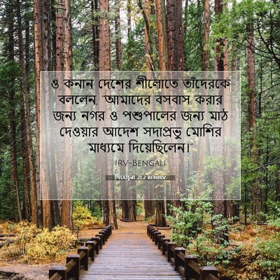 Picture 07 - যিহোচূৱা 21:2 BENIRV - ও কনান দেশের - Bible Verse Picture