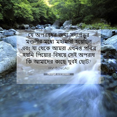 Picture 07 - যিহোচূৱা 22:17 BENIRV - যে অপরাধের জন্য - Bible Verse Picture