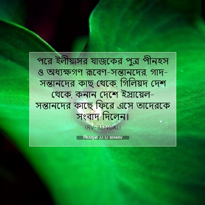Picture 07 - যিহোচূৱা 22:32 BENIRV - পরে ইলীয়াসর - Bible Verse Picture