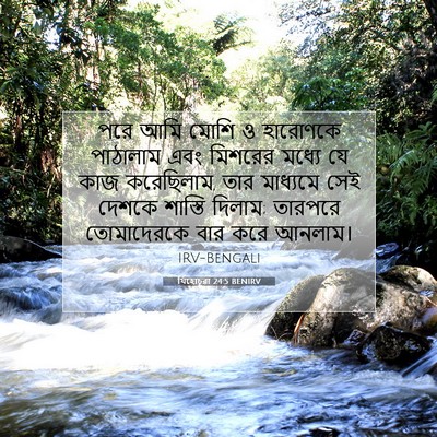 Picture 07 - যিহোচূৱা 24:5 BENIRV - পরে আমি মোশি ও - Bible Verse Picture