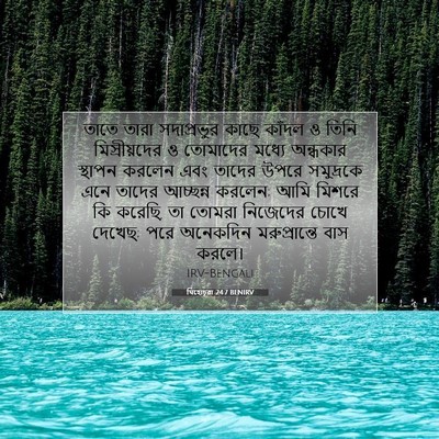 Picture 07 - যিহোচূৱা 24:7 BENIRV - তাতে তারা - Bible Verse Picture