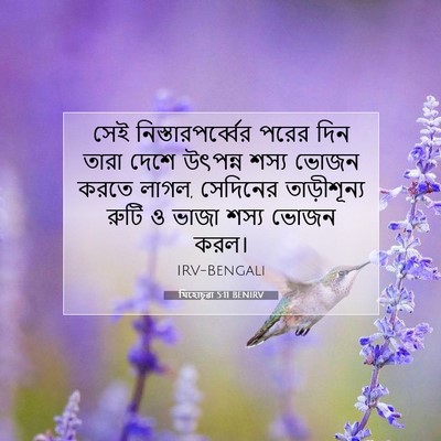 Picture 07 - যিহোচূৱা 5:11 BENIRV - সেই - Bible Verse Picture