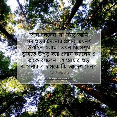 Picture 07 - যিহোচূৱা 5:14 BENIRV - তিনি বললেন “না; - Bible Verse Picture