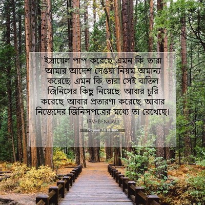 Picture 07 - যিহোচূৱা 7:11 BENIRV - ইস্রায়েল পাপ - Bible Verse Picture