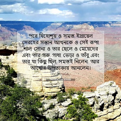 Picture 07 - যিহোচূৱা 7:24 BENIRV - পরে যিহোশূয় ও - Bible Verse Picture