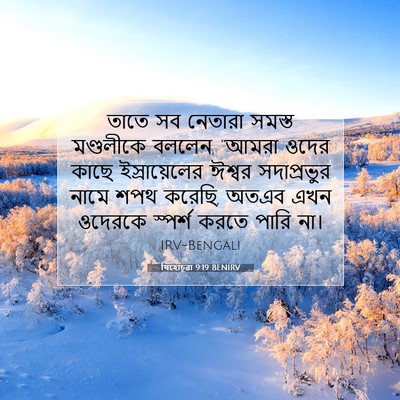 Picture 07 - যিহোচূৱা 9:19 BENIRV - তাতে সব নেতারা - Bible Verse Picture
