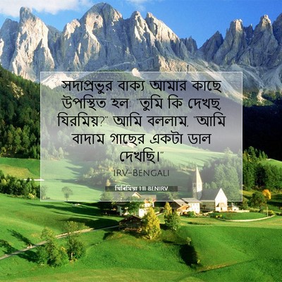 Picture 07 - যিৰিমিয়া 1:11 BENIRV - সদাপ্রভুর বাক্য - Bible Verse Picture