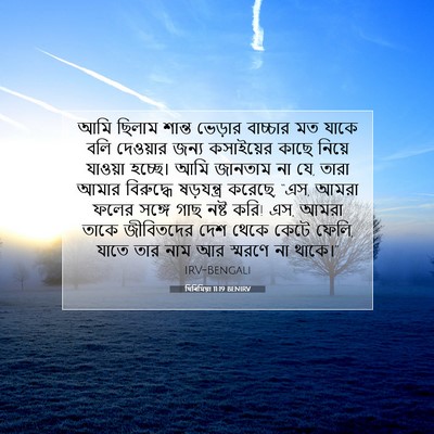 Picture 07 - যিৰিমিয়া 11:19 BENIRV - আমি ছিলাম শান্ত - Bible Verse Picture
