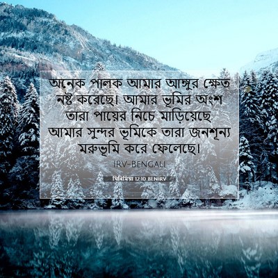 Picture 07 - যিৰিমিয়া 12:10 BENIRV - অনেক পালক আমার - Bible Verse Picture