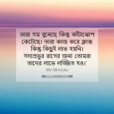 Picture 07 - যিৰিমিয়া 12:13 BENIRV - তারা গম বুনেছে, - Bible Verse Picture