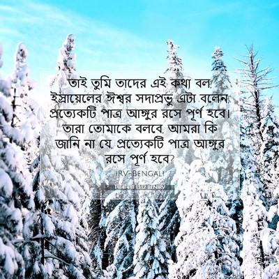 Picture 07 - যিৰিমিয়া 13:12 BENIRV - তাই তুমি তাদের এই - Bible Verse Picture