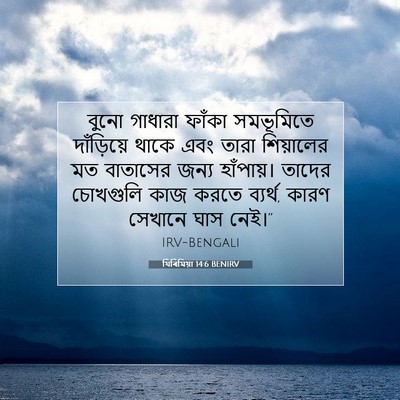 Picture 07 - যিৰিমিয়া 14:6 BENIRV - বুনো গাধারা ফাঁকা - Bible Verse Picture