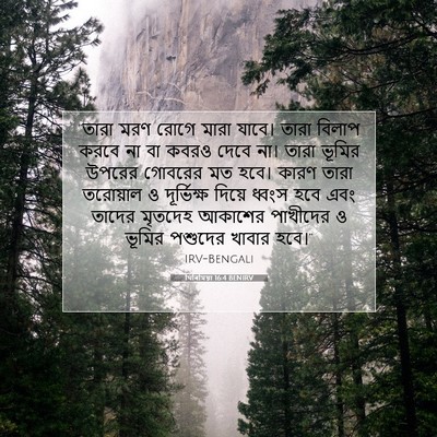 Picture 07 - যিৰিমিয়া 16:4 BENIRV - “তারা মরণ রোগে - Bible Verse Picture
