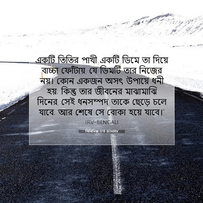 Picture 07 - যিৰিমিয়া 17:11 BENIRV - একটি তিতির পাখী - Bible Verse Picture