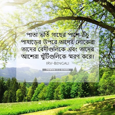 Picture 07 - যিৰিমিয়া 17:2 BENIRV - পাতা ভর্তি গাছের - Bible Verse Picture