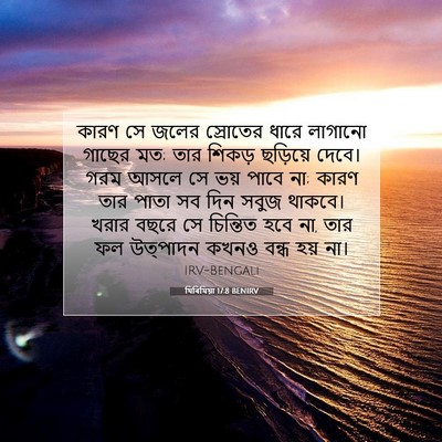 Picture 07 - যিৰিমিয়া 17:8 BENIRV - কারণ সে জলের - Bible Verse Picture