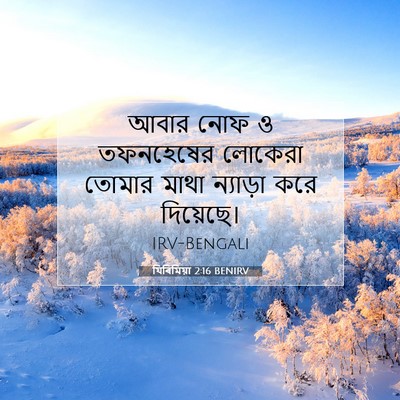 Picture 07 - যিৰিমিয়া 2:16 BENIRV - আবার নোফ ও - Bible Verse Picture