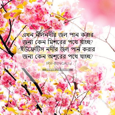 Picture 07 - যিৰিমিয়া 2:18 BENIRV - এখন নীলনদীর জল পান - Bible Verse Picture