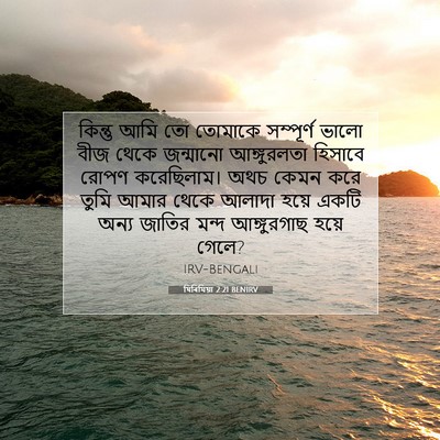 Picture 07 - যিৰিমিয়া 2:21 BENIRV - কিন্তু আমি তো - Bible Verse Picture