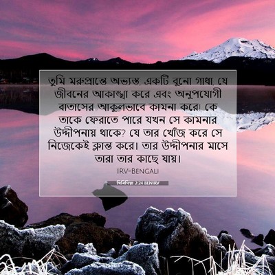 Picture 07 - যিৰিমিয়া 2:24 BENIRV - তুমি মরুপ্রান্তে - Bible Verse Picture