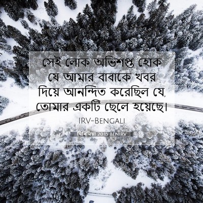 Picture 07 - যিৰিমিয়া 20:15 BENIRV - সেই লোক অভিশপ্ত - Bible Verse Picture