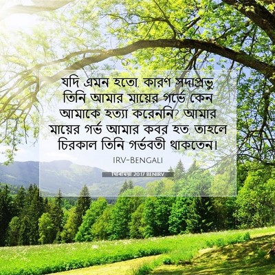 Picture 07 - যিৰিমিয়া 20:17 BENIRV - যদি এমন হতো, কারণ - Bible Verse Picture