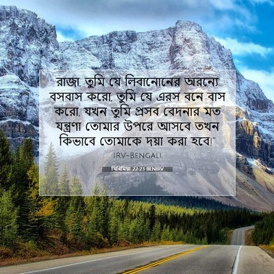 Picture 07 - যিৰিমিয়া 22:23 BENIRV - রাজা, তুমি যে - Bible Verse Picture