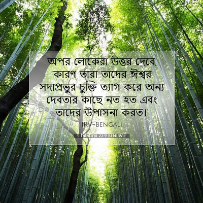 Picture 07 - যিৰিমিয়া 22:9 BENIRV - অপর লোকেরা উত্তর - Bible Verse Picture