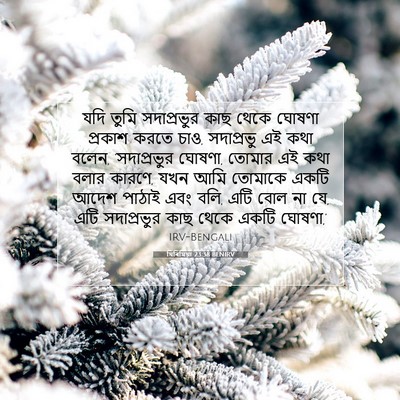 Picture 07 - যিৰিমিয়া 23:38 BENIRV - যদি তুমি - Bible Verse Picture