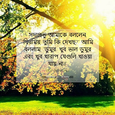 Picture 07 - যিৰিমিয়া 24:3 BENIRV - সদাপ্রভু আমাকে - Bible Verse Picture