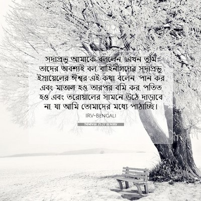Picture 07 - যিৰিমিয়া 25:27 BENIRV - সদাপ্রভু আমাকে - Bible Verse Picture