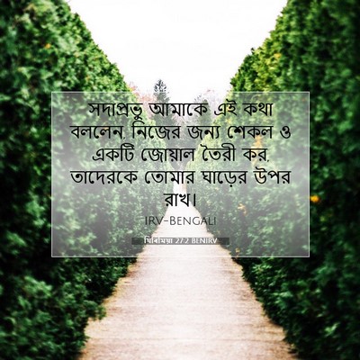 Picture 07 - যিৰিমিয়া 27:2 BENIRV - সদাপ্রভু আমাকে এই - Bible Verse Picture