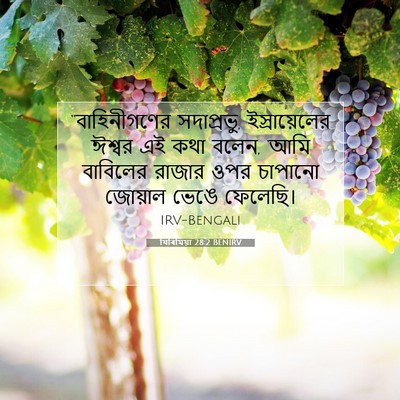 Picture 07 - যিৰিমিয়া 28:2 BENIRV - “বাহিনীগণের - Bible Verse Picture