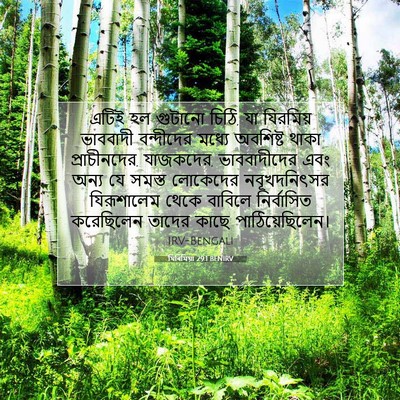 Picture 07 - যিৰিমিয়া 29:1 BENIRV - এটিই হল গুটানো - Bible Verse Picture