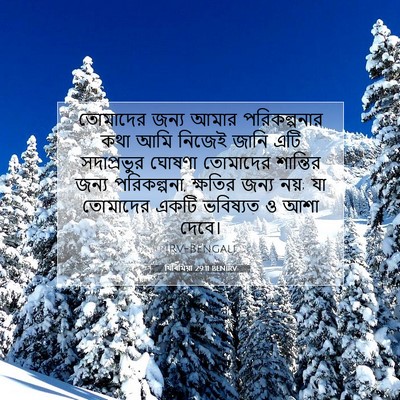 Picture 07 - যিৰিমিয়া 29:11 BENIRV - তোমাদের জন্য আমার - Bible Verse Picture