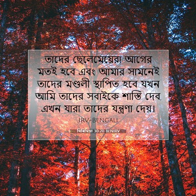 Picture 07 - যিৰিমিয়া 30:20 BENIRV - তাদের ছেলেমেয়েরা - Bible Verse Picture