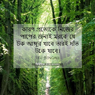 Picture 07 - যিৰিমিয়া 31:30 BENIRV - কারণ প্রত্যেকে - Bible Verse Picture