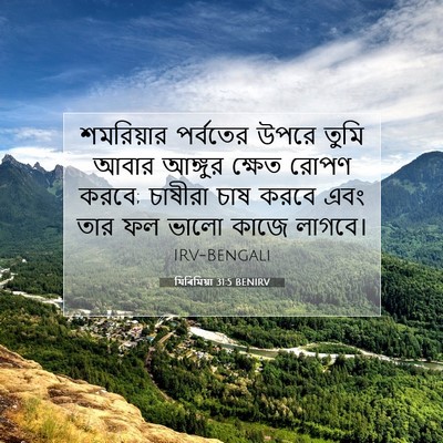 Picture 07 - যিৰিমিয়া 31:5 BENIRV - শমরিয়ার পর্বতের - Bible Verse Picture