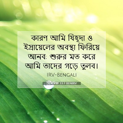 Picture 07 - যিৰিমিয়া 33:7 BENIRV - কারণ আমি যিহূদা ও - Bible Verse Picture