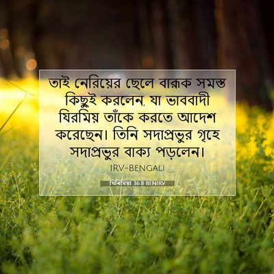 Picture 07 - যিৰিমিয়া 36:8 BENIRV - তাই নেরিয়ের ছেলে - Bible Verse Picture