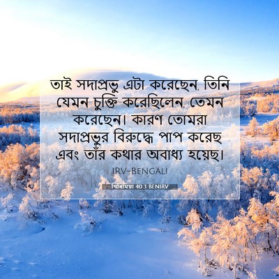 Picture 07 - যিৰিমিয়া 40:3 BENIRV - তাই সদাপ্রভু এটা - Bible Verse Picture