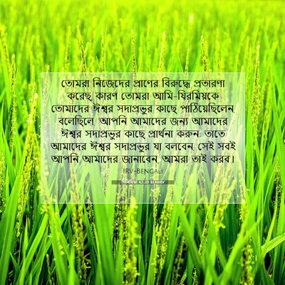 Picture 07 - যিৰিমিয়া 42:20 BENIRV - তোমরা নিজেদের - Bible Verse Picture