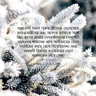 Picture 07 - যিৰিমিয়া 43:6 BENIRV - তারা সেই সকল পুরুষ, - Bible Verse Picture