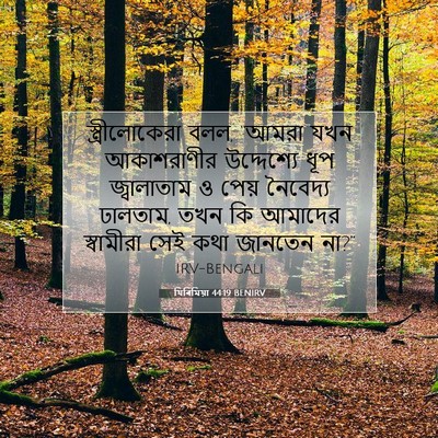 Picture 07 - যিৰিমিয়া 44:19 BENIRV - স্ত্রীলোকেরা বলল, - Bible Verse Picture