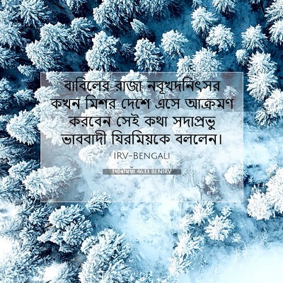 Picture 07 - যিৰিমিয়া 46:13 BENIRV - বাবিলের রাজা - Bible Verse Picture